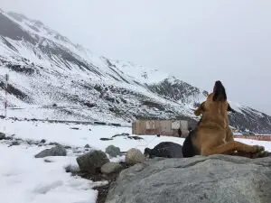 passeios em santiago cão neve