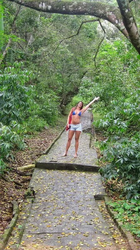 dicas para ilha do mel