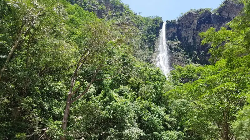 CACHOEIRA DO LABEL