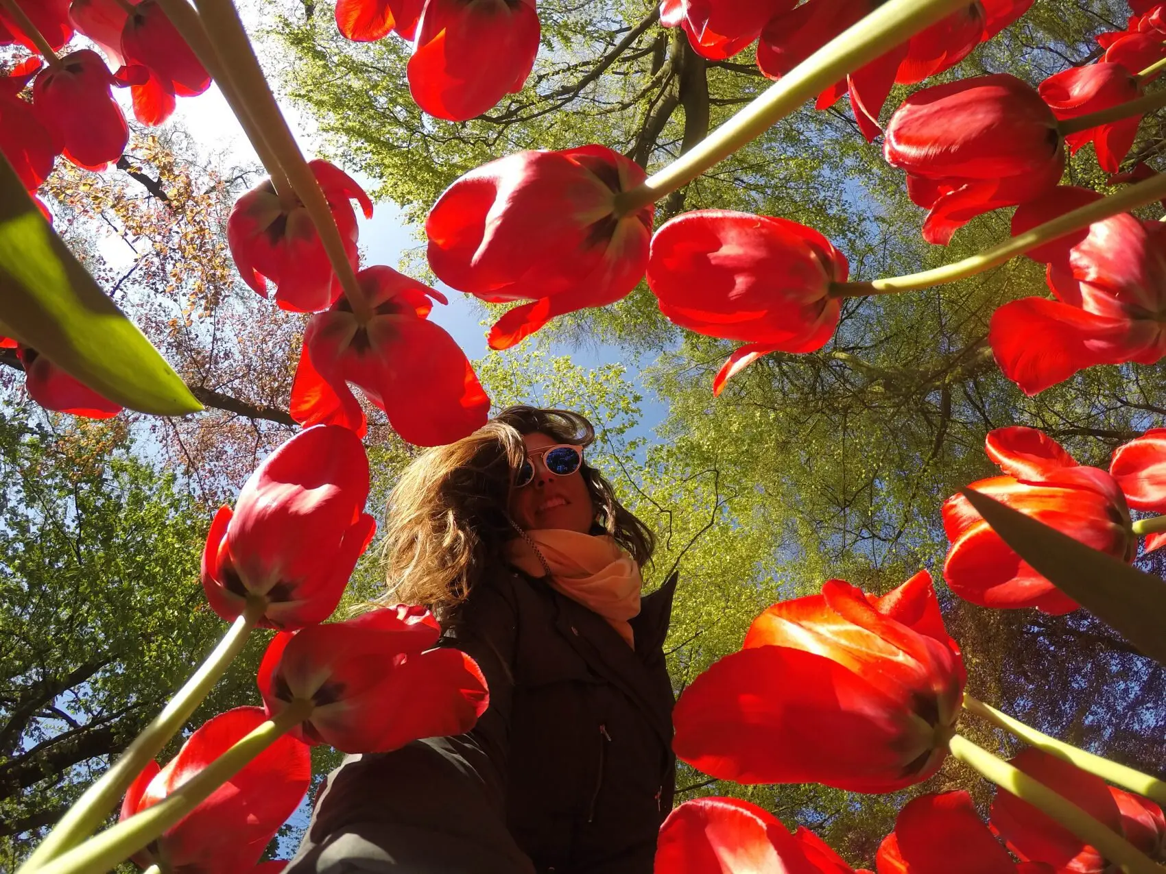 A beleza imensurável do Festival de Tulipas de Keukenhof, na Holanda