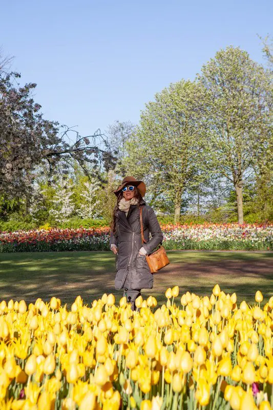 festival de tulipas