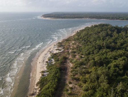 O que fazer na Ilha do Marajó, um destino incrível no Pará