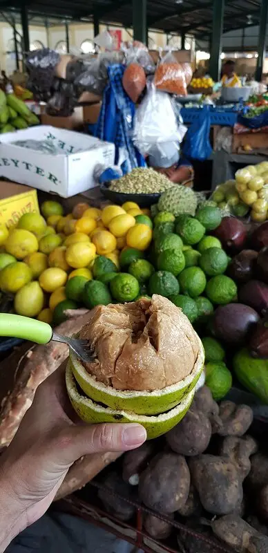 capital de moçambique fruta tipica