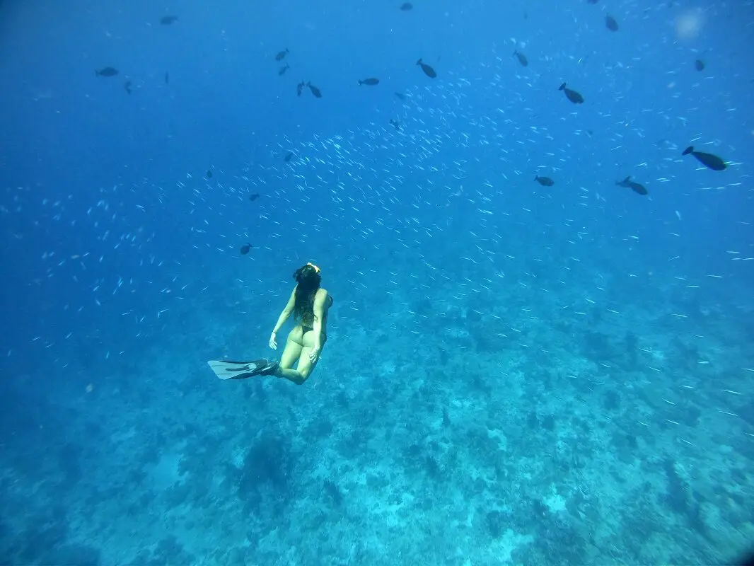 maldivas snorkel