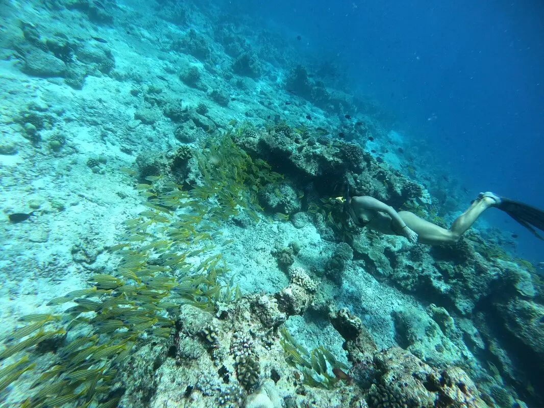Dhangethi maldivas oceano indico