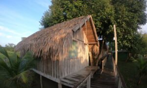 Hotéis na Selva Amazônica – 5 coisas que você precia saber