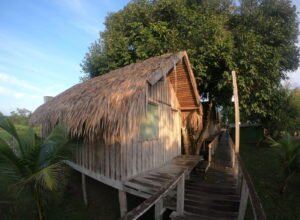 Hotéis na Selva Amazônica – 5 coisas que você precia saber