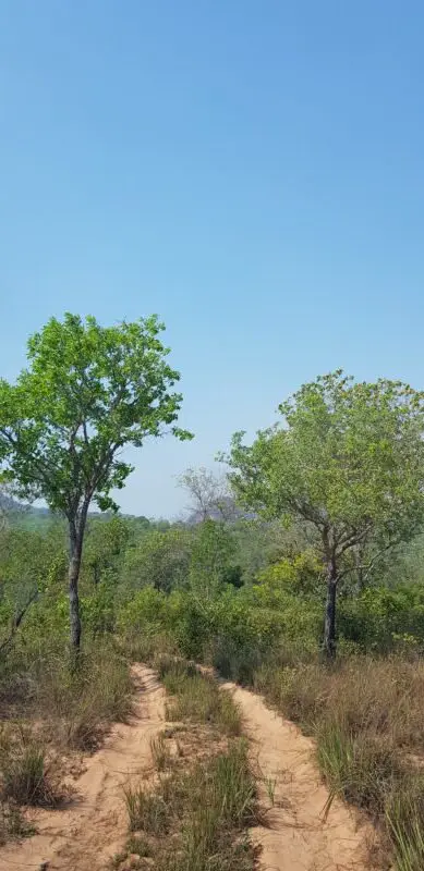 estrada parque nacional chapada das mesas