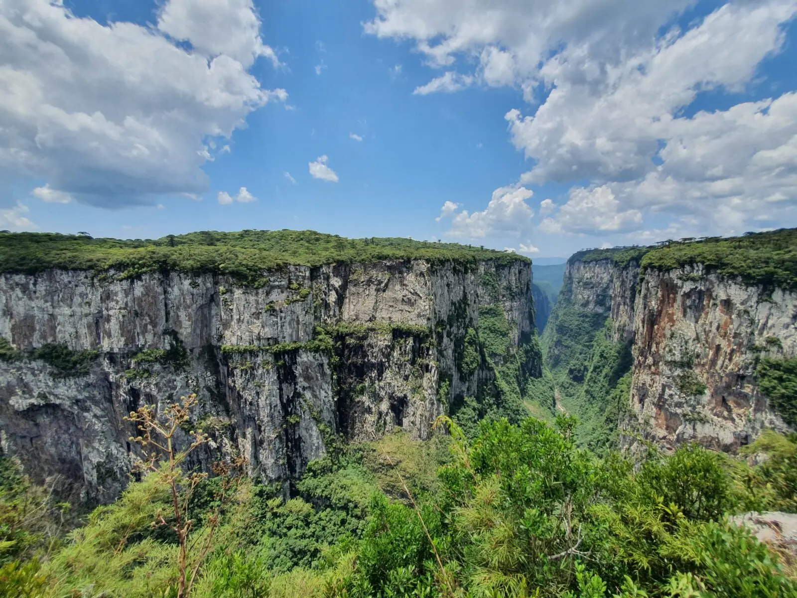 Parque Nacional de Aparados da Serra: seu guia completo 