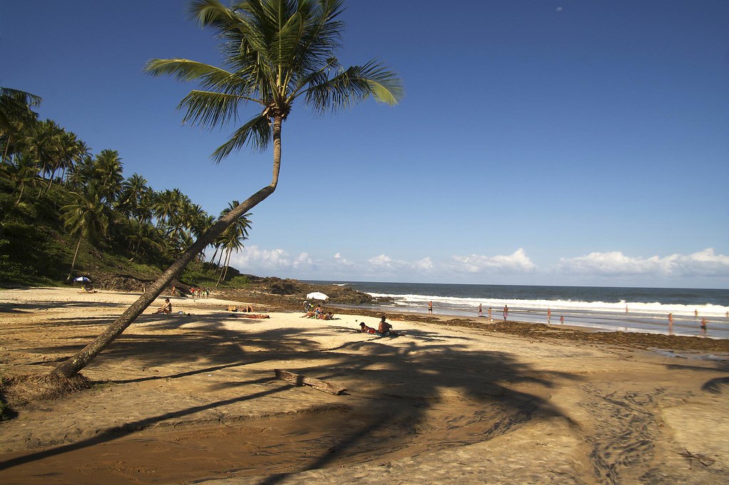 praias de itacaré bahia coqueiro areia amarela