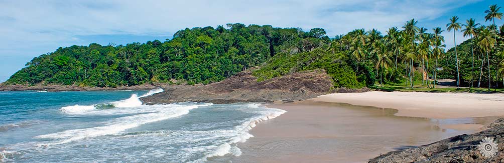 praias de itacaré bahia praia do costa panoramica coqueiros mar