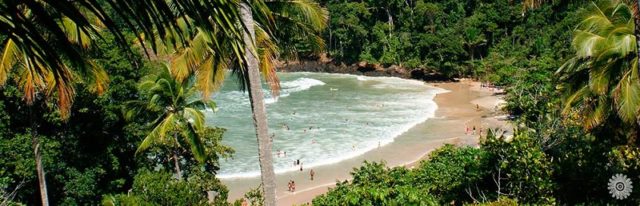 praias de itacaré praia da ribeira folhagem