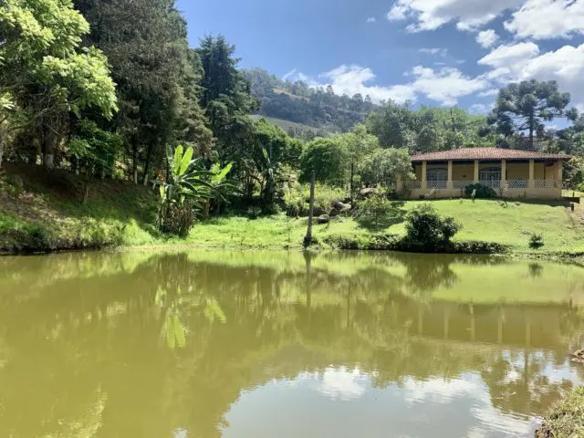 Casas na natureza: 20 opções para alugar e se deslumbrar