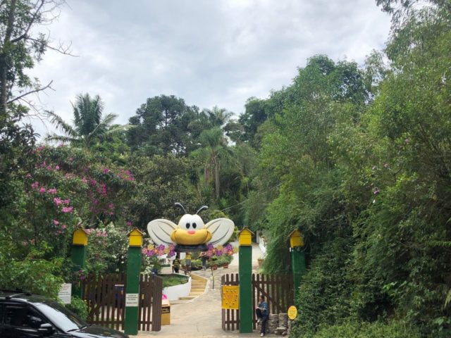 parques para crianças em sp cidade das abelhas.