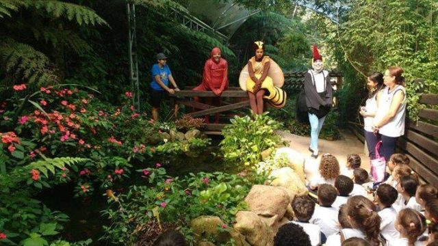 parques para crianças em sp sitiolandia