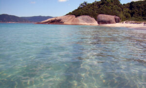 Ilha do Campeche: tudo o que precisa saber sobre esse paraíso!