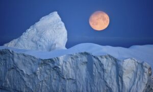 Viagem para Antártica: tudo o que você precisa saber sobre esse destino!