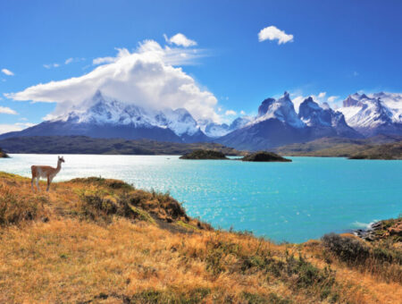 Tudo o que você deve considerar para visitar a Patagônia Argentina