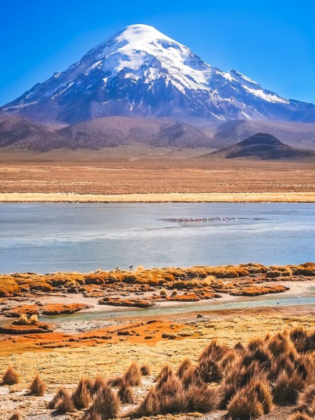 Tudo o Que Você Precisa Saber Antes de Ir Sobre o Nevado Sajama