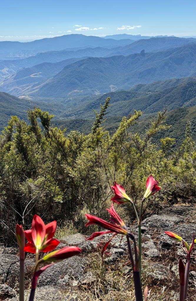 Trekking Mantiqueira