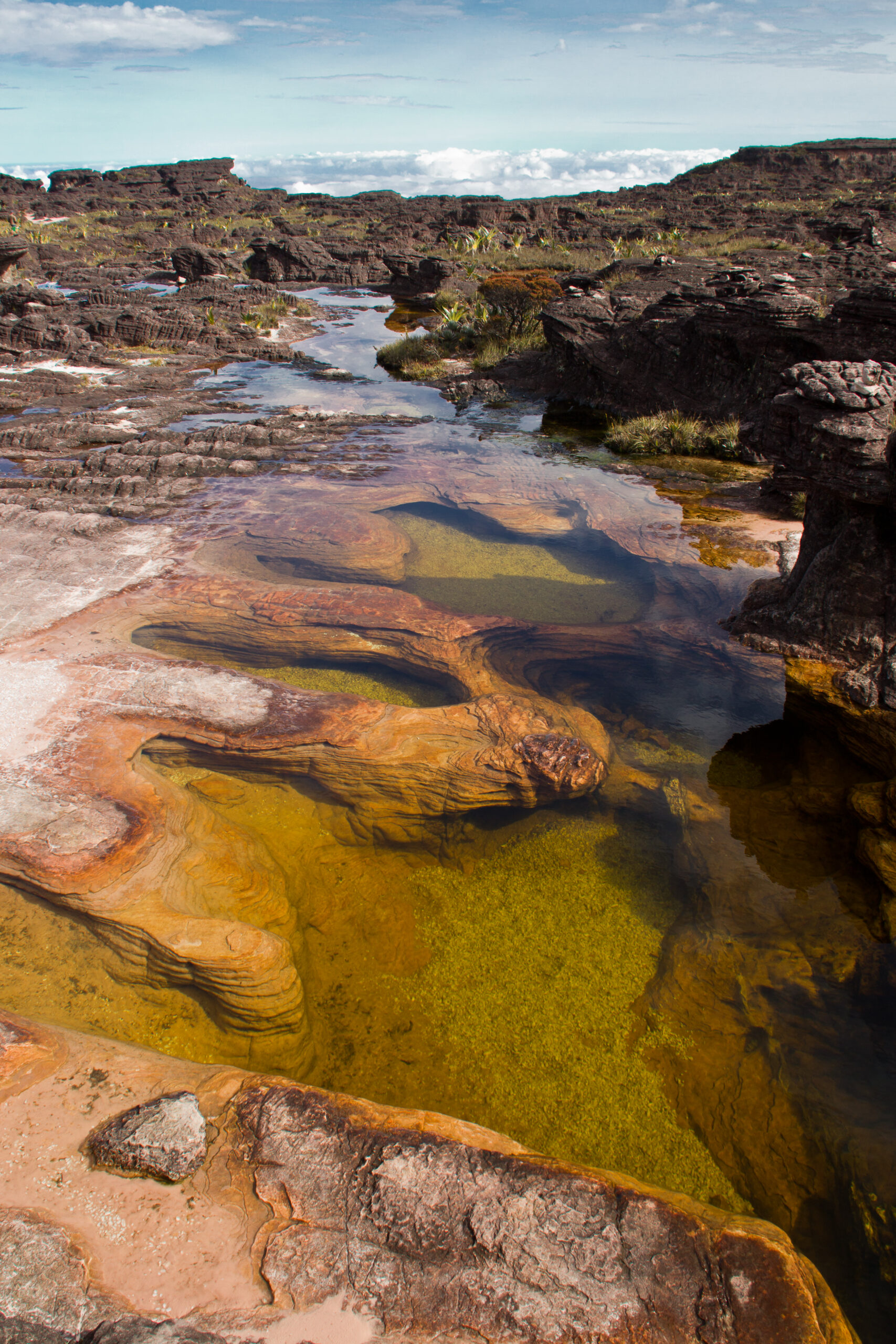 piscinas monte roraima