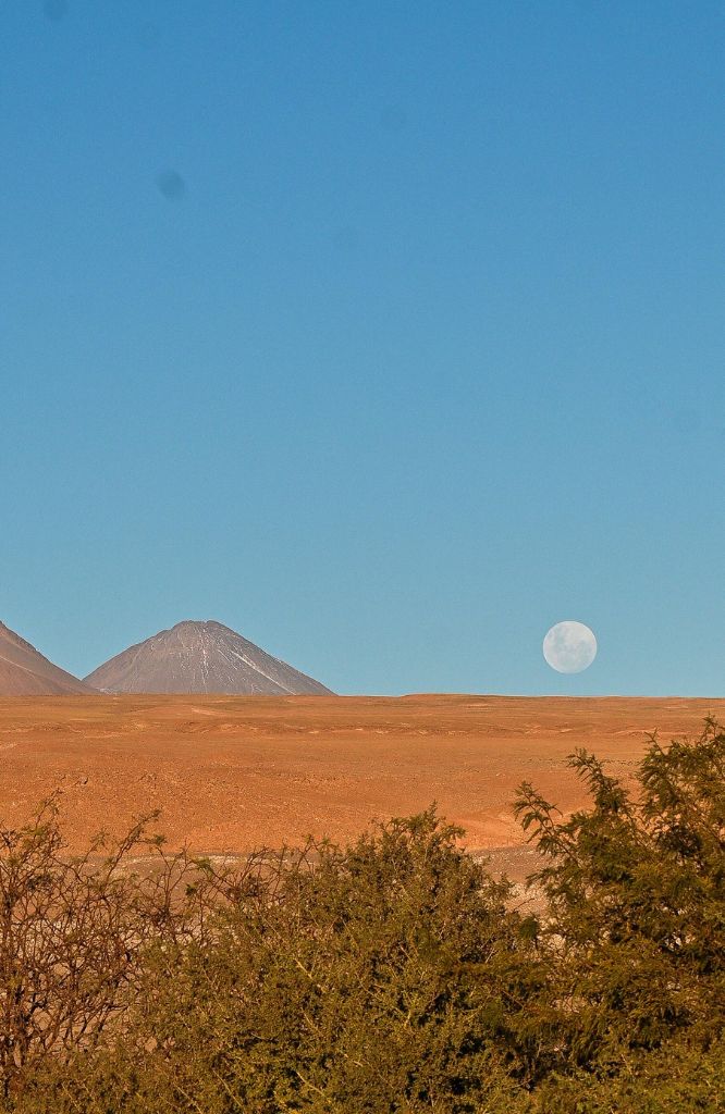 paisagem chilena do deserto