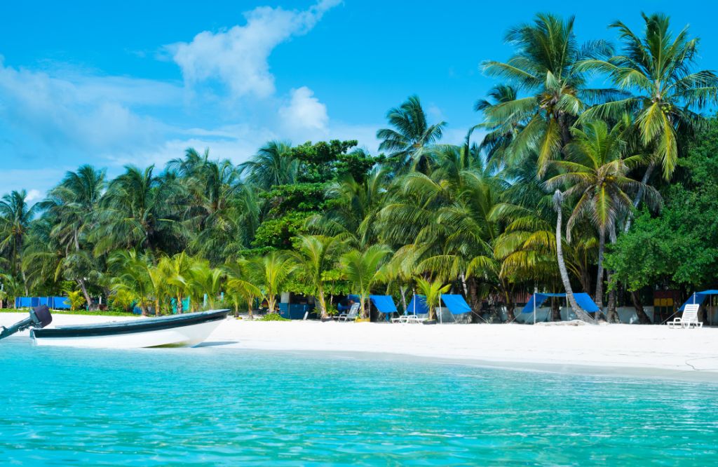 praia com coqueiros e sim colômbia