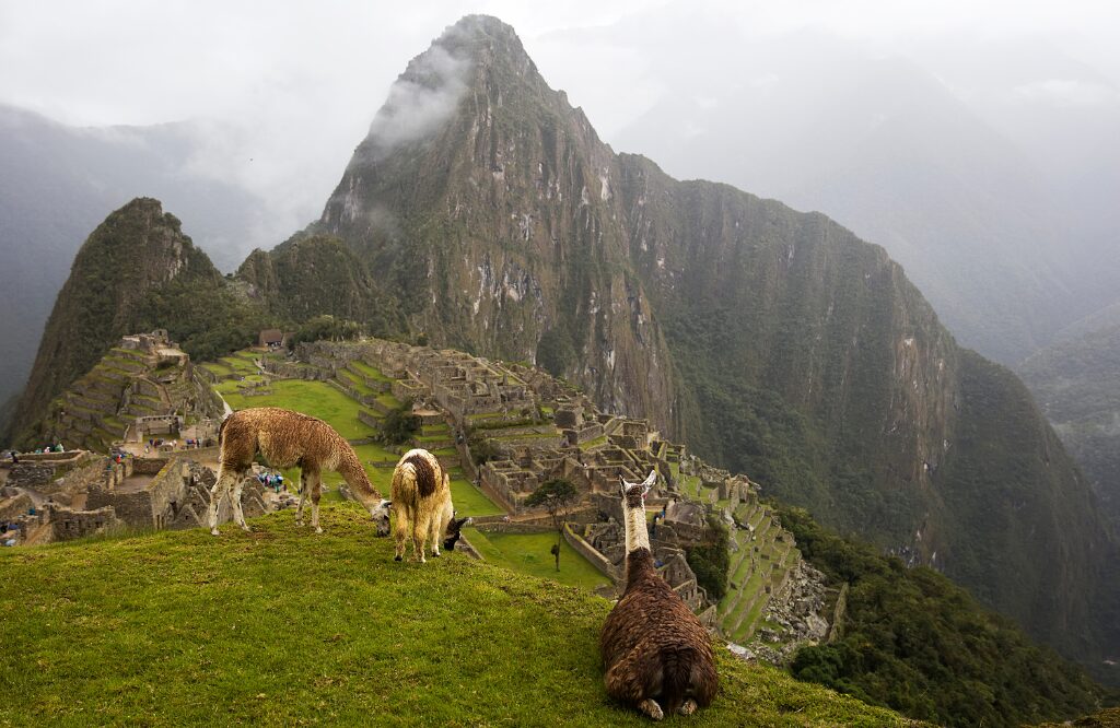 machu picchu
